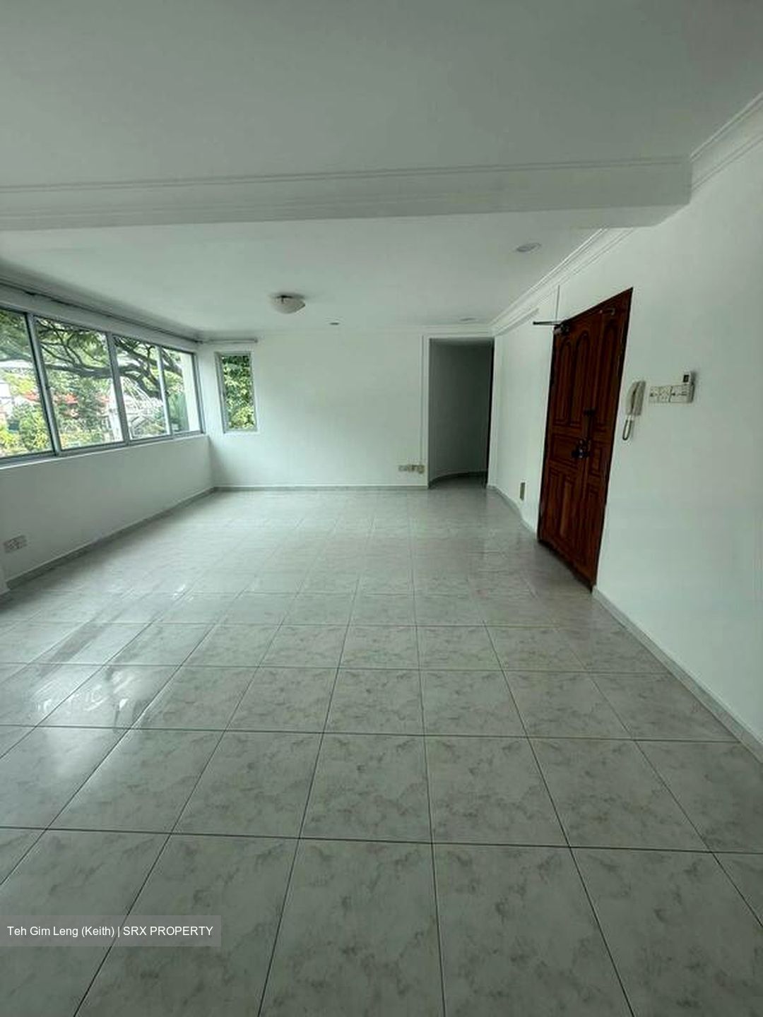 Holland Hill Park (D10), Condominium #479822091
